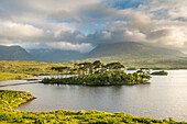 Pine Island on Derryclare Lake. Connemara, Co. Galway, Connacht province, Ireland.