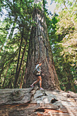 A young woman hikes below an ancient Douglas Fir tree in Cathedral Grove, Cathedral Grove, British Columbia.