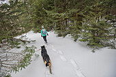 Frau und Hund Schneeschuhwandern im Wald.