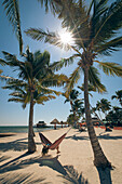 Eine junge Frau liegt in einer Hängematte zwischen Palmen am Strand