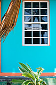 Window in the colorful wall of a tropical store