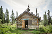 Viking Lodge öffentliche Nutzung Kabine Wrangell-St. Elias Nationalpark und Reservat