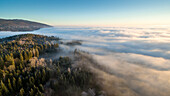 schönen Sonnenaufgang auf einem Meer von Nebel und die Berge mit Wäldern der Fichte im Kanton Waadt, Schweiz