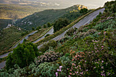 view of a sinuous scenic road in the garrigue at sunrise with flowers in the foreground in winter in the South of France