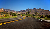 Leere Straße durch Joshua Tree National Park, Kalifornien, USA