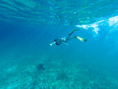 Snorkeling at Belize