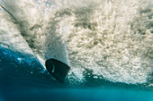 Underwater point of view of a wave and a surfer on a sunrise session