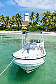 Motorboat moored on water with beach and palm trees in background, Isla Contoy, Mexico