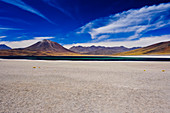 Laguna Miscanti in der Atacamawüste, Chile