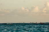 Männer paddeln im Meer, Kaimana Beach, Honolulu, Hawaii, USA