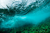 Underwater view of wave breaking over Caribbean Reef, Atlantic Ocean, Belize