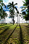 Late Afternoon Silhouettes am Waikiki Beach in Honolulu