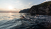 Die Schwimmer schwimmen im Mittelmeer während des Sonnenuntergangs