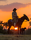 Campesino sitting on horse with dog at sunset