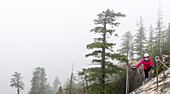 A women crosses a small suspension bridge that is part of the Via Ferrata in Squamish, British Columbia.