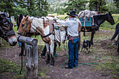 Ein Cowboy-Ausrüster lädt Ausrüstung auf Pferde in einem Backcountry Gebirgscamp