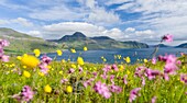 Die Berge und Klippen von Streymoy mit dem Vestmannasund. Die Insel Streymoy, eine der beiden großen Inseln der Färöer im Nordatlantik. Europa, Nordeuropa, Dänemark, Färöer.