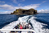Ausflugsboot, Vulkaninsel Staffa, Südteil der Insel Mull, Schottland