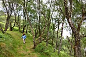 Frau, Wandern am Westufer am Loch Ness, Highlands, Schottland