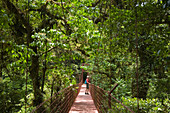 Hiker stands on suspension bridge in Costa Rica Monteverde Cloud Forest Preserve
