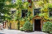 Germany, Baden-Wurttemberg, Medieval town of Meersburg on Lake Constance. House facade with green foliage and Virginia creeper