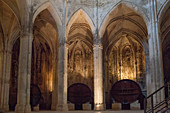 France, Southern France, Vileveyrac, Cistercian abbey of Holy Mary of Valmagne, 13th century, gothic style, nave turned into a wine storehouse after the Revolution