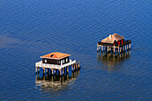 France, Gironde. Arcachon Bay. Bird Island. Cabin built on stilts.