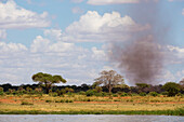Ein Staubtornado ,Staubteufel, Tsavo, Kenia, Ostafrika, Afrika