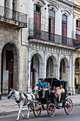 Horse-drawn carts known locally as coches for hire in Havana, Cuba, West Indies, Central America