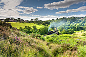 A steam locomotive at Darnholme on the North Yorkshire Railway line travelling from Whitby to Pickering, Yorkshire, England, United Kingdom, Europe