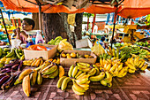 Vegetables and fruit at the Sir Selwyn Selwyn-Clarke Market, Victoria, Mahe, Republic of Seychelles, Indian Ocean, Africa