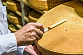 Reifeprüfung eines Gruyère Käselaibes, Gruyère, Kanton Freiburg, Schweiz