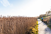 Sunrise at Munkmarsch on the island of Sylt, Schleswig-Holstein, north Germany, Germany