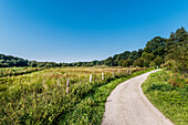 Grassland in Volksdorf near Hamburg, north Germany, Germany