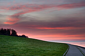 Morgendämmerung über Deich am Jadebusen, Nationalpark Wattenmeer, Nordsee, Wilhelmshaven, Niedersachsen, Deutschland