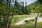 Fluss Sava Bohinjka am Nationalpark Triglav bei Polje, Bohinjska Bistrica, Gorenjska, Oberkrain, Julische Alpen, Slowenien