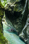 Fluss Tolminka fließt durch die Tolminer Klammen, Gorenjska, Oberkrain, Nationalpark Triglav, Julische Alpen, Slowenien