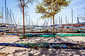 Fisherman nets at the port of Mallorca. Puerto de Palma, Port of Palma, Palma, Mallorca, Spain, Europe