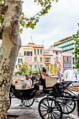 Horse carriage in the old town of Palma, historic city centre, Ciutat Antiga, Palma de Mallorca, Majorca, Balearic Islands, Mediterranean Sea, Spain, Europe