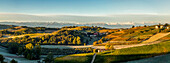Panorama von Weinbergen mit bereiften Feldern und Berglandschaft bei Sonnenaufgang, Dogliani, Piemont, Italien