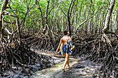 Fotografie der hinteren Ansicht der Frau gehend in tropische Landschaft mit Mangrovenbäumen, Boipeba-Insel, Süd-Bahia, Brasilien