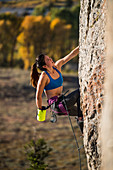 Female climber reaching into chalk bag while climbing, Wyoming, USA