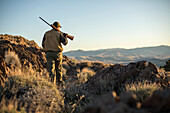 Mann geht durch das Nevada Backcountry, das Chukar jagt.