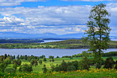 Idyllic scenery with trees, meadows, lake and river, Froson, Jamtland, Sweden