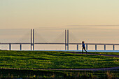 Woman jogging at coastline near Malmo, Oeresund Bridge, South Sweden, Sweden