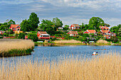 Typical red white wooden houses holiday houses, Karlskrona, Blekinge, Southern Sweden, Sweden