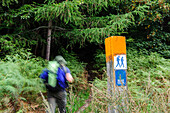 Landschaft und Wanderer in der Nähe von Hackeberga, Fernwanderweg Skaneleden, Wald Hackeberga, Skane, Südschweden, Schweden