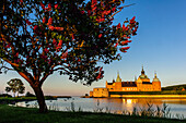 Kalmar castle in the morning light. Tree with flowers in the foreground., Schweden