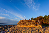 Troll forest with shipwreck on the beach In the north of Oeland, Schweden
