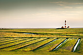 UNESCO Weltnaturerbe Wattenmeer, Leuchtturm Westerheversand umgeben von Salzwiesen, Westerhever, Schleswig-Holstein, Deutschland, Nordsee